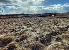 Два участка в деревне Полуково (Старорусский район, Новгородская область)